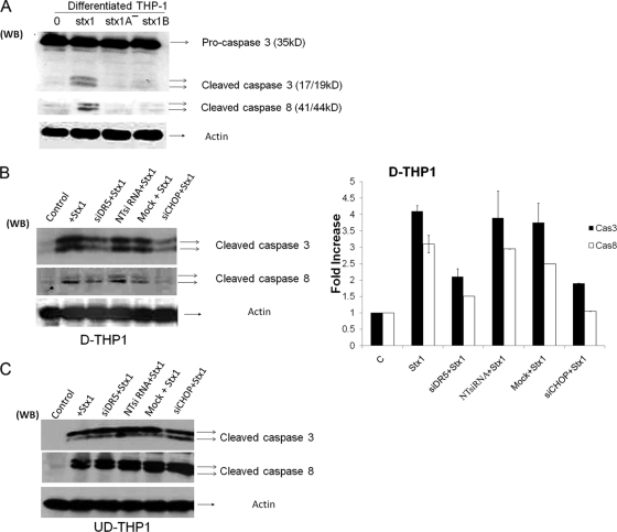 FIG. 6.