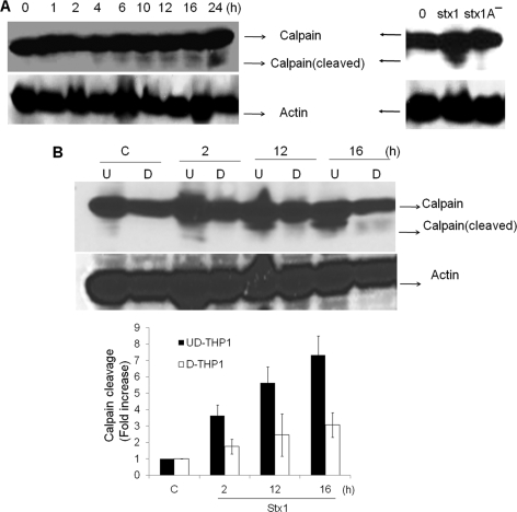 FIG. 8.