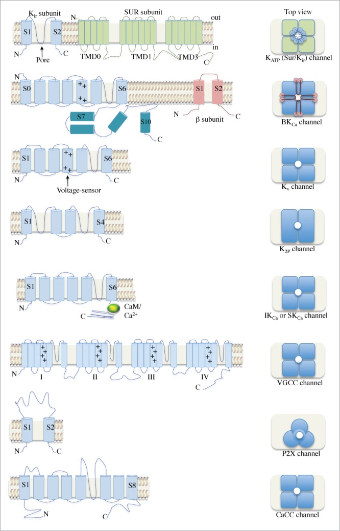 Figure 2.