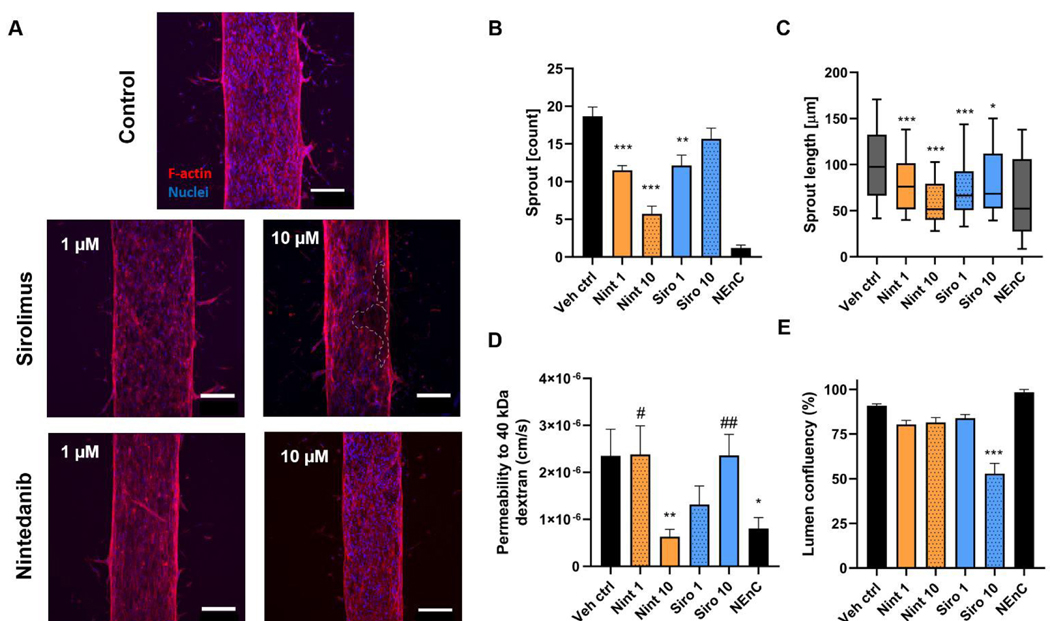 Figure 6: