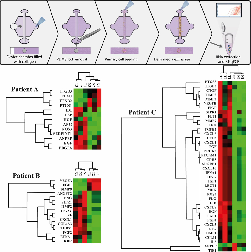 Figure 3: