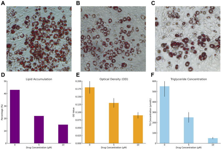 FIGURE 16