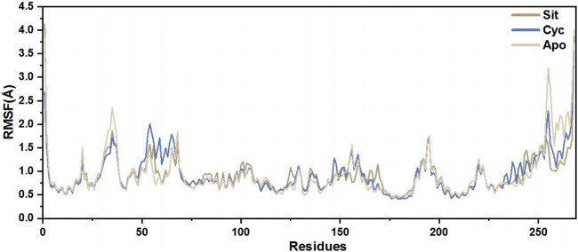 FIGURE 12