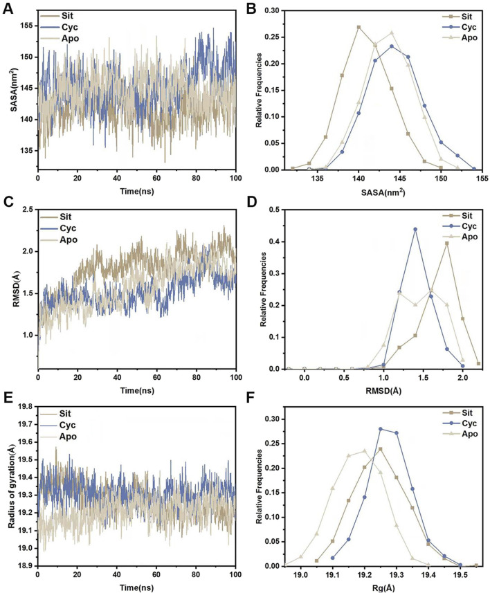 FIGURE 11