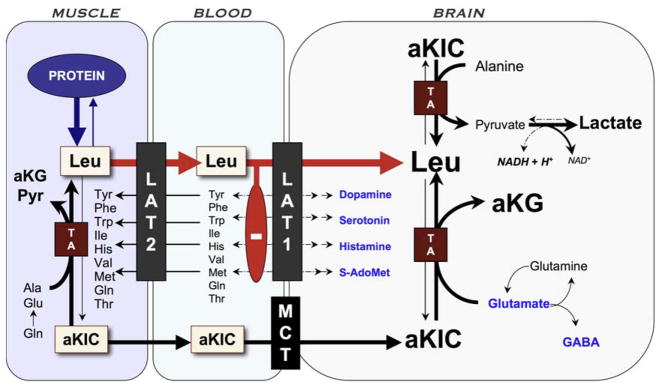 Fig. 8