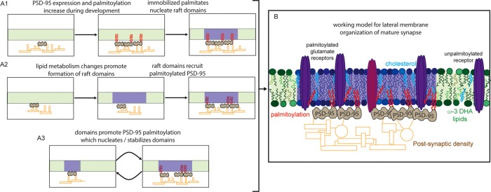 FIGURE 5: