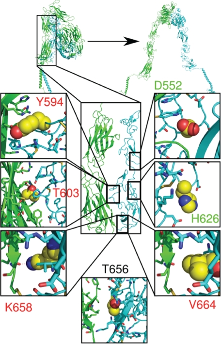 FIGURE 3.