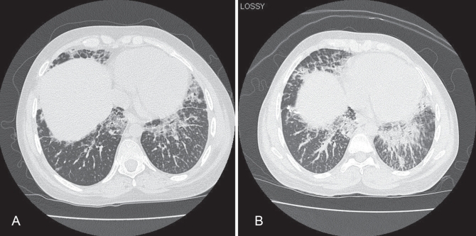 Figure 1)