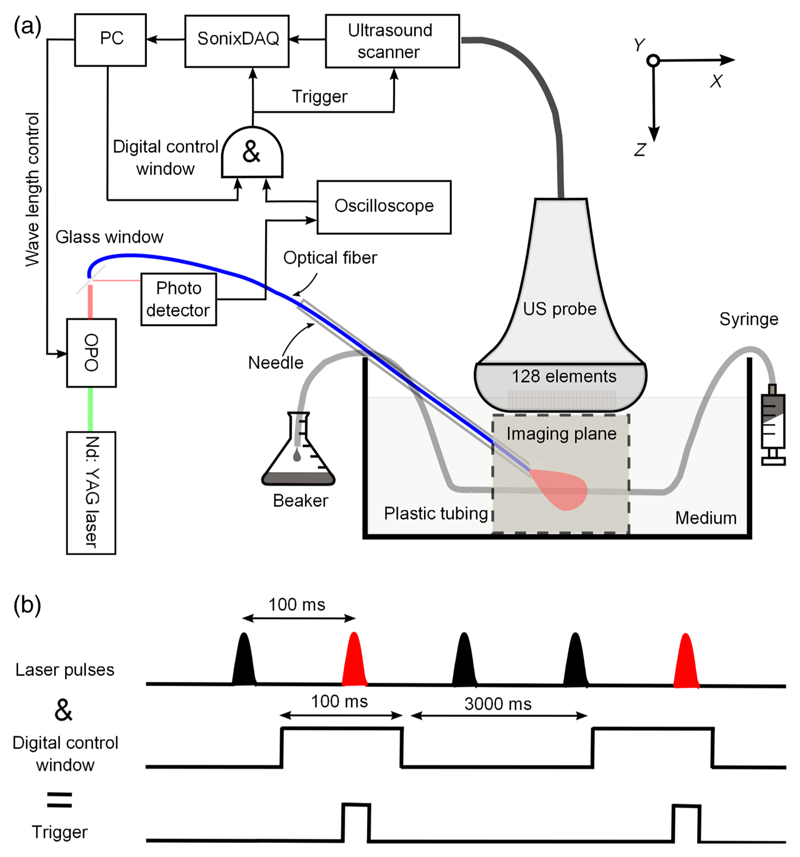 Fig. 1