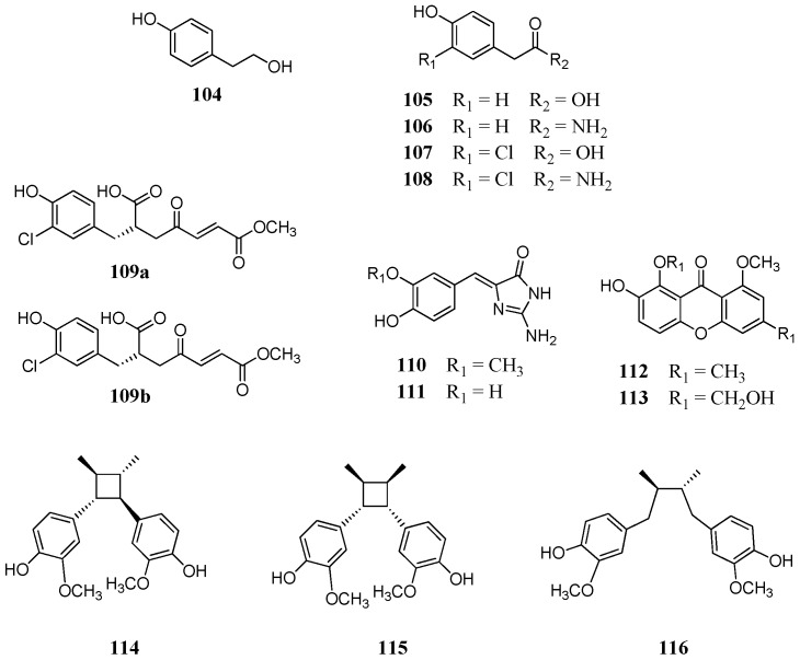 Figure 21