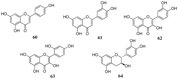 Figure 13