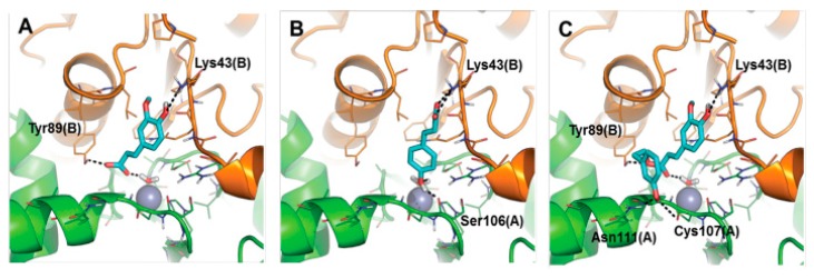 Figure 25