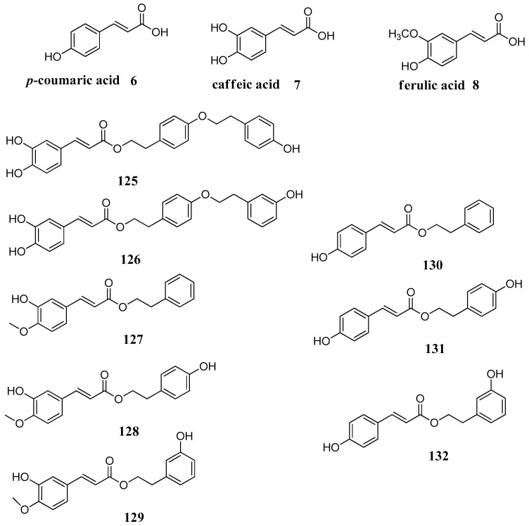 Figure 24