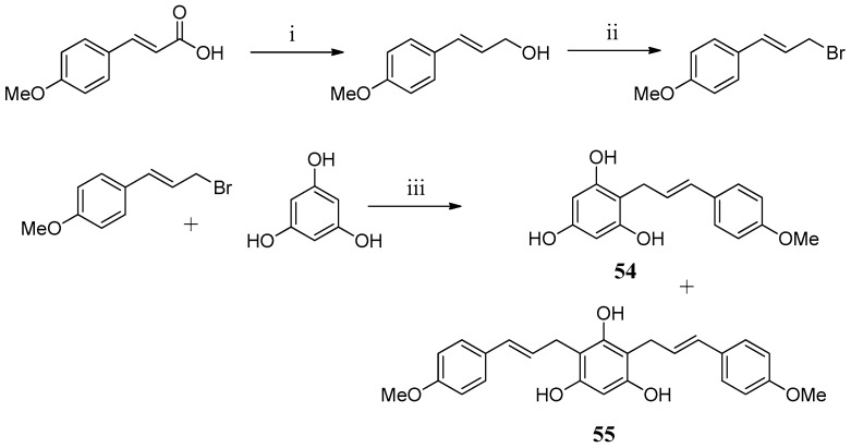 Scheme 2