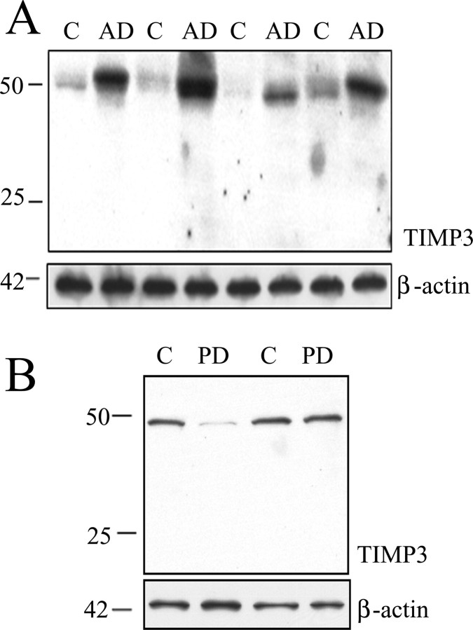 Figure 9.