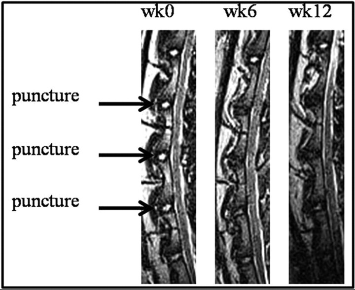 Fig 1.