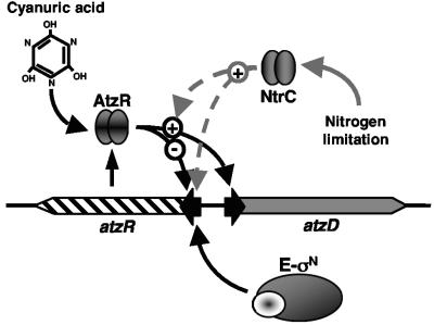 FIG. 7.