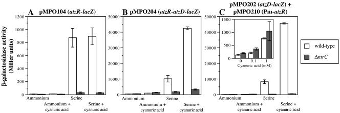 FIG. 6.