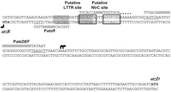 FIG. 8.