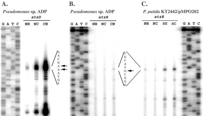 FIG. 5.