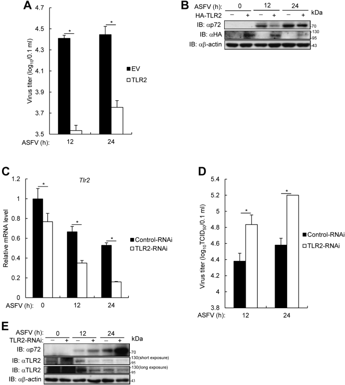 Figure 7