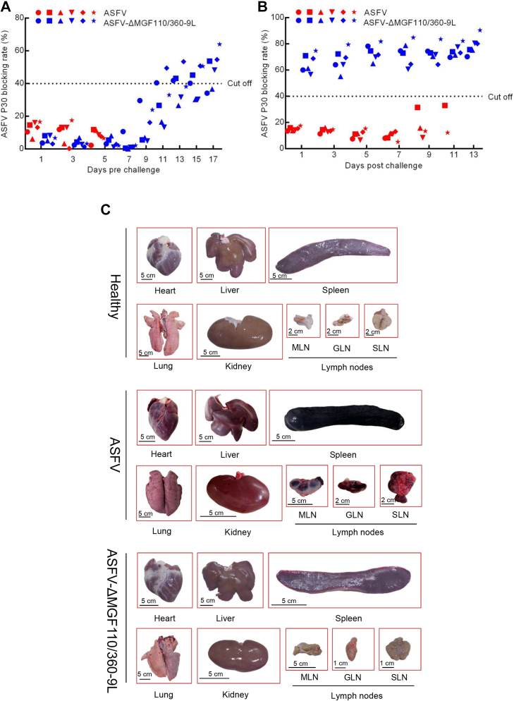 Figure 4