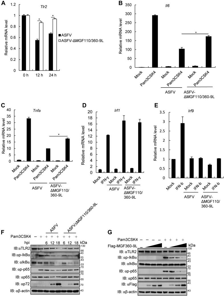 Figure 6