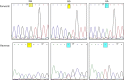 Fig. 2