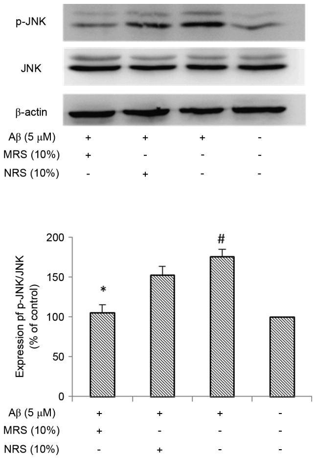 Figure 5.