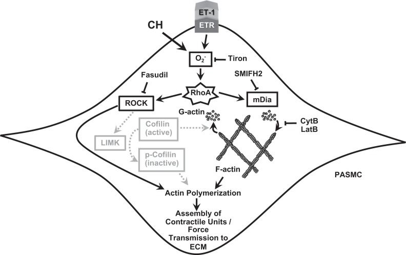 Fig. 8.