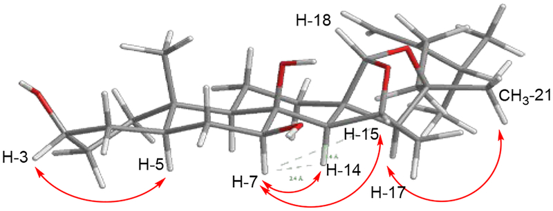 Figure 5.