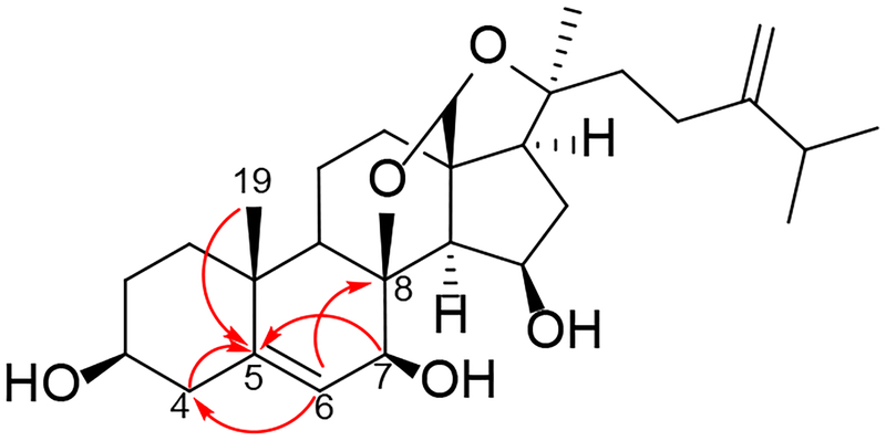 Figure 8.