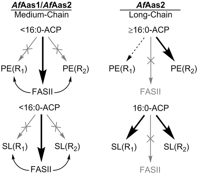 Figure 11.