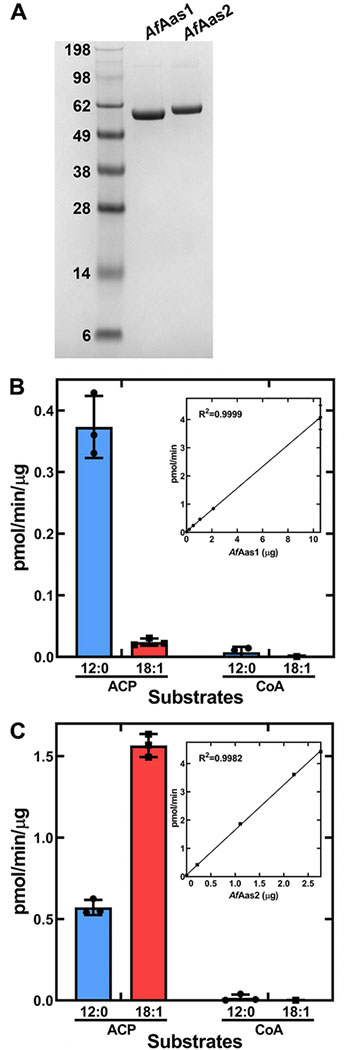 Figure 10.