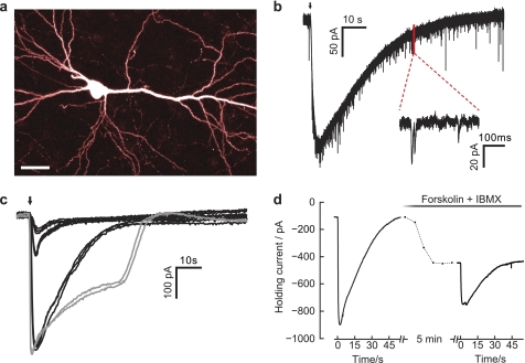 FIGURE 4.