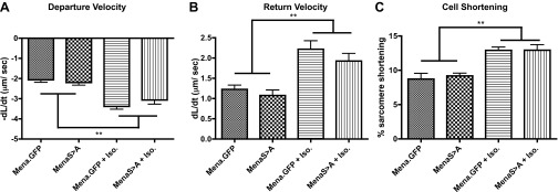 Fig. 10.