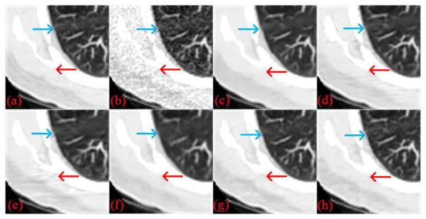 Fig. 5