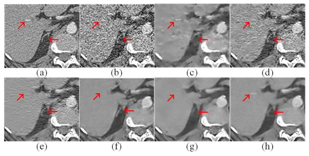 Fig. 9