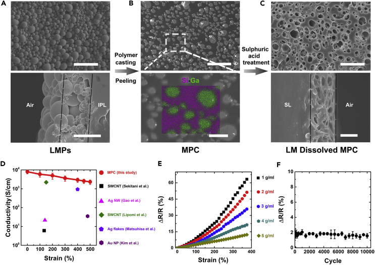 Figure 2