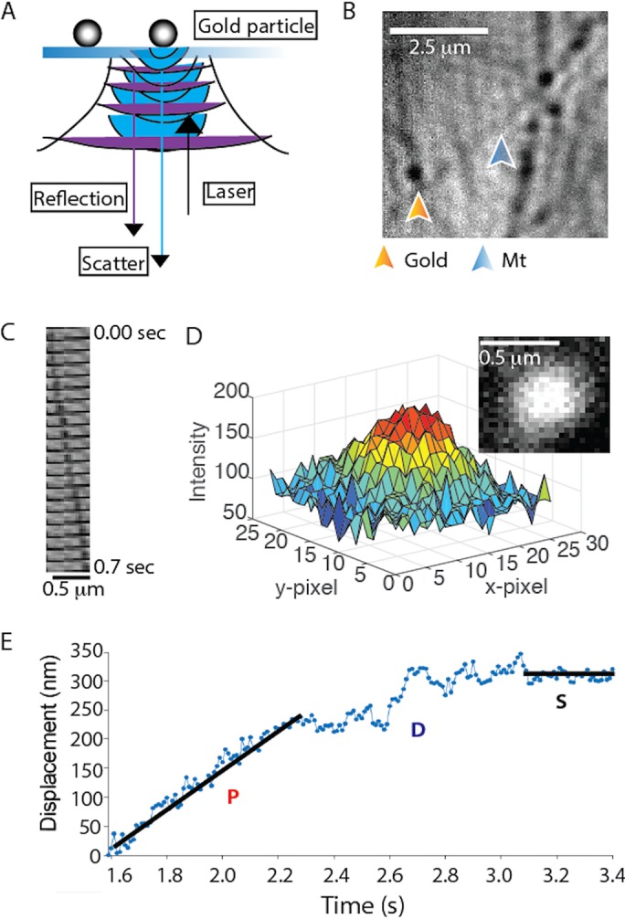 FIGURE 4: