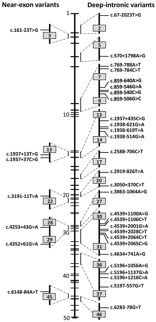 Fig. 7.