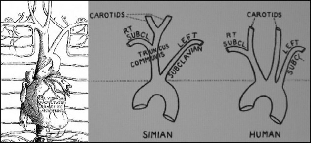 Figure 15.