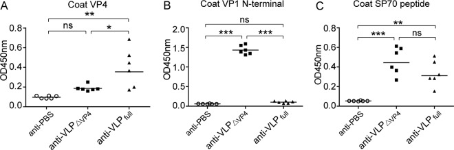 FIG 6