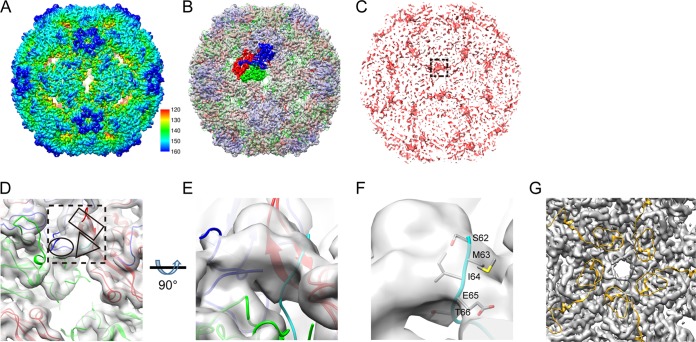 FIG 4