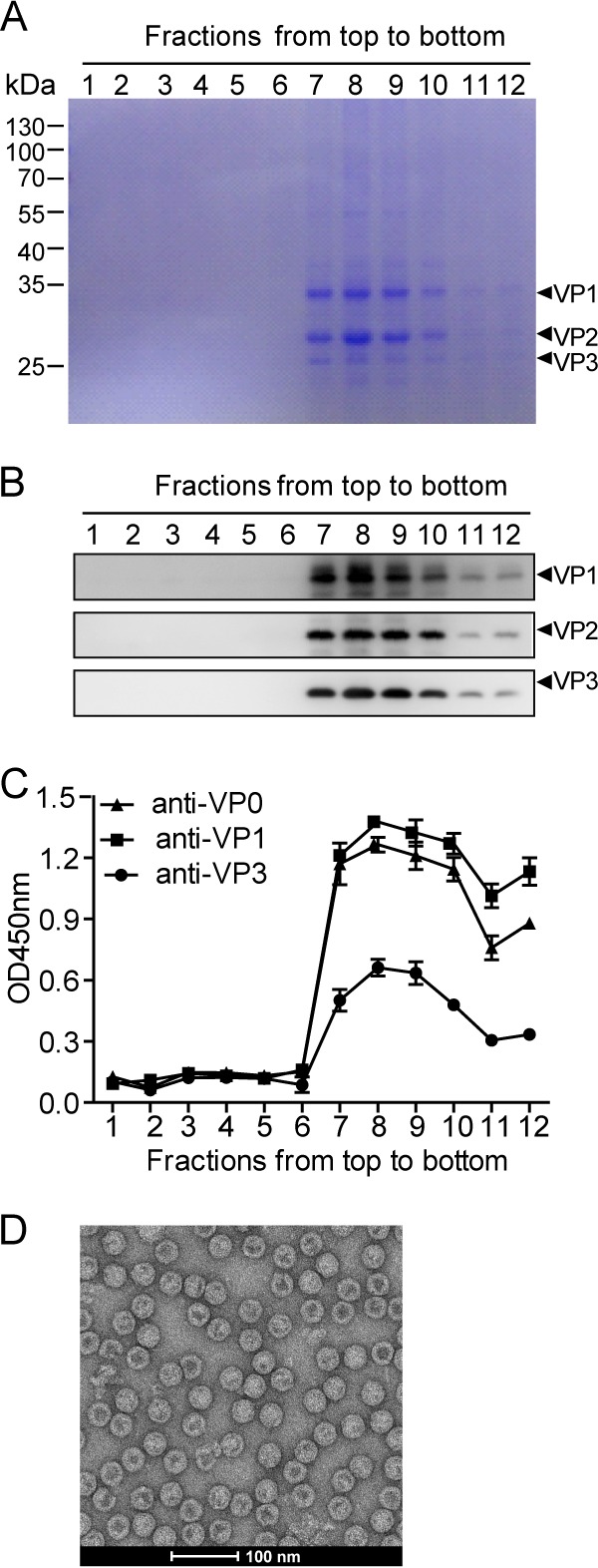 FIG 2