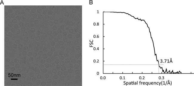 FIG 3