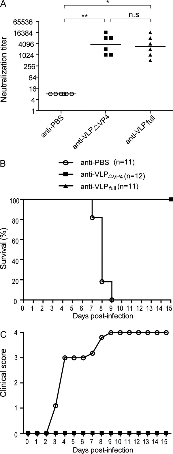 FIG 7