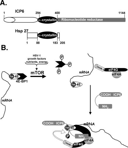 Figure 9.