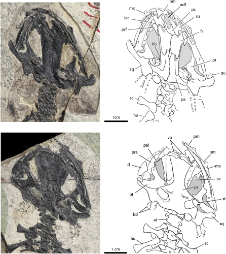 Fig. 3.