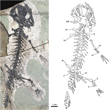 Fig. 2.